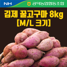 농협 2023 김제 햇 꿀고구마(8kg*1박스), 8kg, 1박스