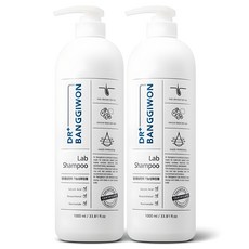 DR BANGGIWON Lab強健髮根洗髮精, 1L, 2瓶