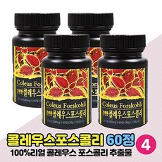 kfc스콜쳐