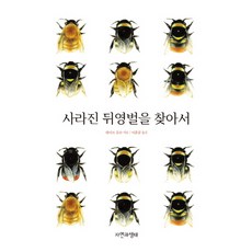 뒤영벌구매