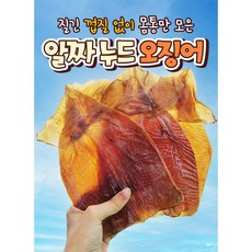 누드오징어