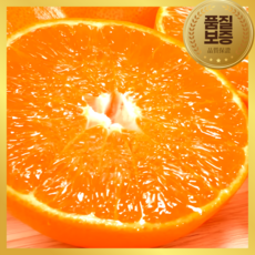 [1차완판] 품절대란 15brix 최고당도 레드향, 1박스, 2kg(로얄과)