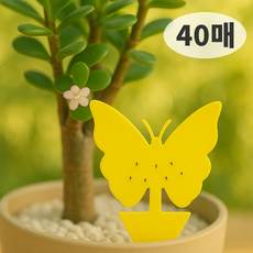 올릭 초파리 트랩 날파리 파리 끈끈이, 40개, 3g