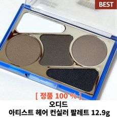 [오디드/본사정품] 탈모커버 아티스트 헤어 컨실러 팔레트 12.9g 세치커버 엠자커버 헤어라인 헤어컨실러 승무원 헤어라인 헤어컨실러, 1개