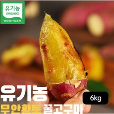 토글토글 유기농 무안 황토꿀고구마 6kg, 단일옵션