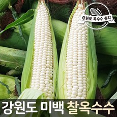 //상품명