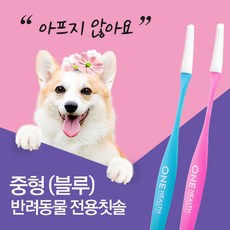 원헬스칫솔