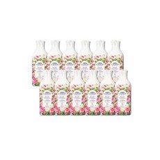 르샤트라로즈제라늄