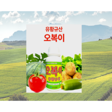 오복이 최고의 유황규산 식물 영양제 도장억제 농산물 품질향상, 오복이 1L, 1000ml, 1개