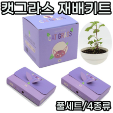 고양이식용식물