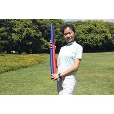 골프연습장 가정용스크린골프 연습기 골프 스윙 연습용품 보조 가격이 내렸다, 오류 발생시 문의 ( 엠디리얼티 2 )