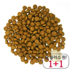 벳스크립션오엔씨