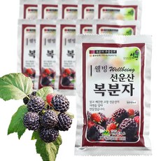 선운산오디주