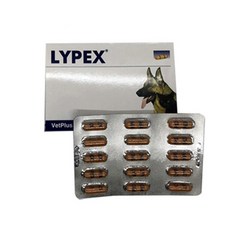 벳플러스 라이펙스 LYPEX 60캡슐, 단품, 단품 - 강아지라이펙스