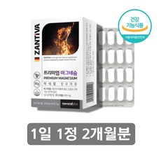 독일 산화 탄산 마그 네숨 네슘 네슝 마그 네시움 네이슘 미네랄, 독일산마그네슘 60정 x1박스