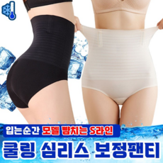 에디 쿨링 심리스 뱃살 보정 속옷 팬티 거들 - 쿨링거들