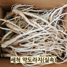 도라지 약도라지 흙 세척 24년 국산 1kg, 1개, 세척약도라지(실속) 1kg