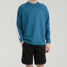 다이슨코랄블루