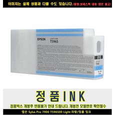 엡손pro7900