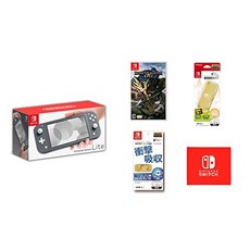 닌텐도라이트그레이