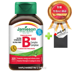 자미에슨 비타민 B100 컴플렉스+정품보증서 캐나다 직배송, 225정, 1개