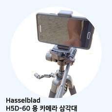 핫셀블라드907x