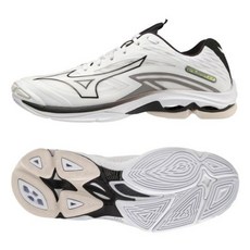 v1ga220009 TOP01