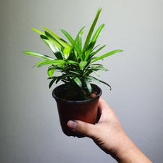 d718ccc8c1ef3963bd9f5bc30a74d42e61ac2e5c2c6fa127364ae7cf4e7e.jpg