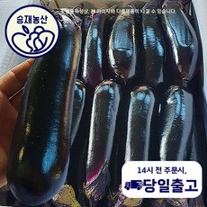 승재농산 국내산 가지 1박스 특등급 상등급 ( 10kg내외 ), 상등급1박스 (10kg내외), 1개