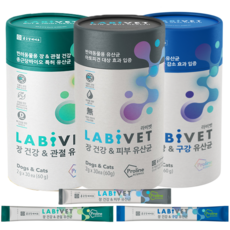 종근당 라비벳 강아지 고양이 유산균, 1.강아지사은품, 5.라비벳 유산균 추가 6포, 라비벳 장&관절 유산균X2통