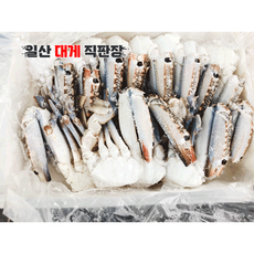 튀니지 바레인 냉동 절단 꽃게 6kg(500g*12pk)1박스 게장용 식당, 브로큰 6kg