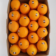실속형 일반 고당도 네이블오렌지 (72-88과랜덤), 1box, 17kg내외