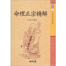 명리정종정해