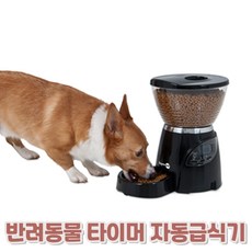 트윙클펫자동급식기