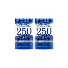 PURELAB 블루베리250 루테인 아사이 크린베리 서플리먼트 30일분, 2개, 60정