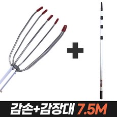 감나무장대
