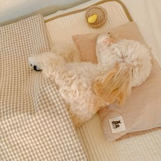 오가닉 레인보우 체크 말랑베개 이불 SET 강아지베개 강아지이불, 브라운