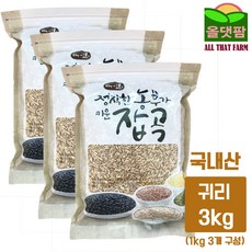 올댓팜 2020년산 국산 귀리, 1개, 귀리 3kg