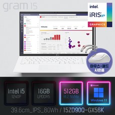LG 2022 그램15(12세대) 15ZD90Q-GX56K [이벤트 한컴오피스 증정], WIN11 Pro, 16GB, 512GB, 코어i5, 화이트