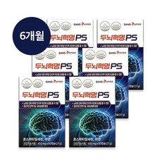 상아제약 상아제약 두뇌혁명PS 6박스/6개월분, 6개, 단일옵션, 30개