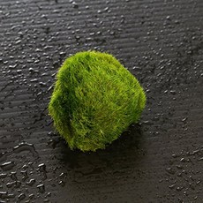 347c11bda87c0700465f5e07ecae8132d3eb89cce27915a600879a836386.jpg