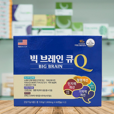 빅 브레인 큐Q 포스파티딜세린함유, 120정, 3개
