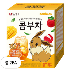 담터 포켓몬 콤부차 망고리치, 5g, 40개입, 2개