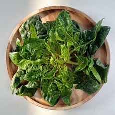 [직접재배] 섬초 1차세척 도초섬시금치 겨울시금치 해풍초 비금초 비금섬초 2kg, 1개