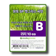 뮤토 SP 캣그라스 국내산 무농약 새싹용 씨앗, 10개, 20g, B 귀리