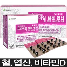 유한 철분 엽산 비타민D 120정 4개월, 60g, 1박스