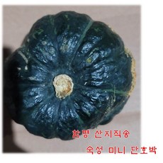 호박반찬