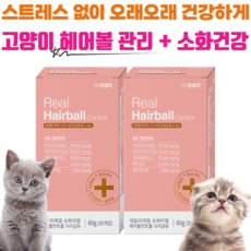 펫생각 데일리케얼 헤어볼 컨트롤 & 식이섬유 고양이 반려묘 영양제 소화 변비 장건강 피모개선 3대 소화효소, 헤어볼 영양제 2개