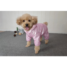 이지웨어패딩강아지