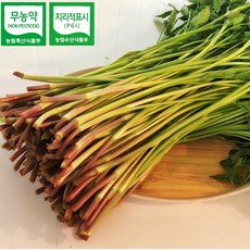 청도 특품 한재 미나리 1kg 무농약재배, 2개